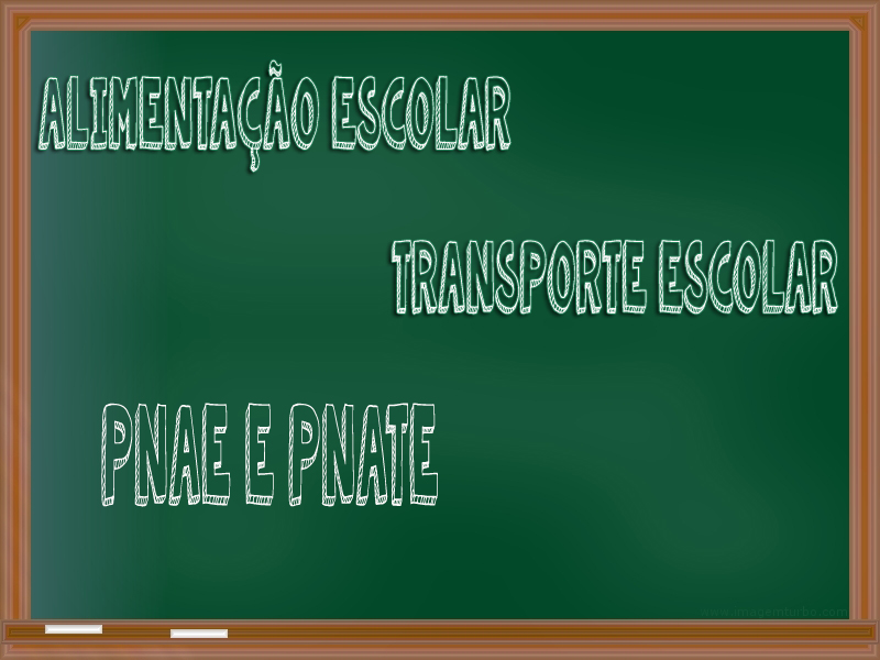 ?Prorrogado o prazo para envio das prestações de contas do Pnae e do Pnate