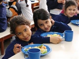Municípios com pendências no Conselho de Alimentação Escolar podem ter repasses do Pnae suspensos