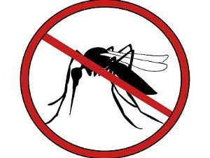 Boletim aponta queda de casos da dengue