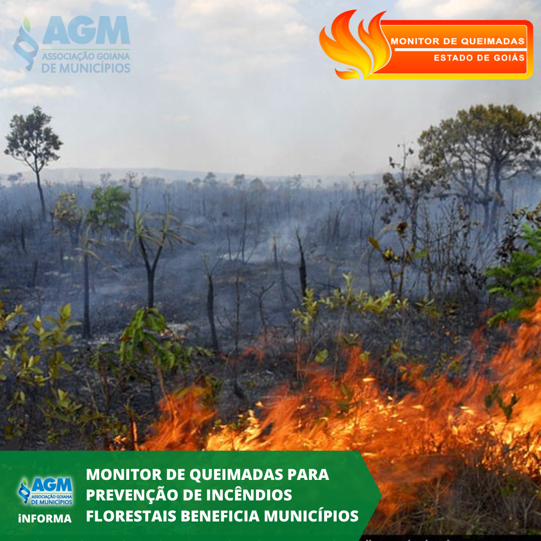 Monitor de Queimadas para prevenção de incêndios florestais beneficia municípios